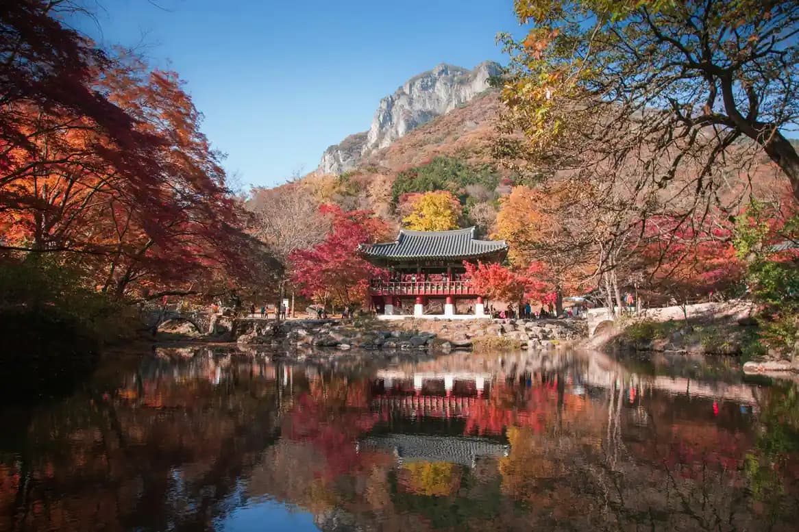 Best Autumn Destinations in South Korea