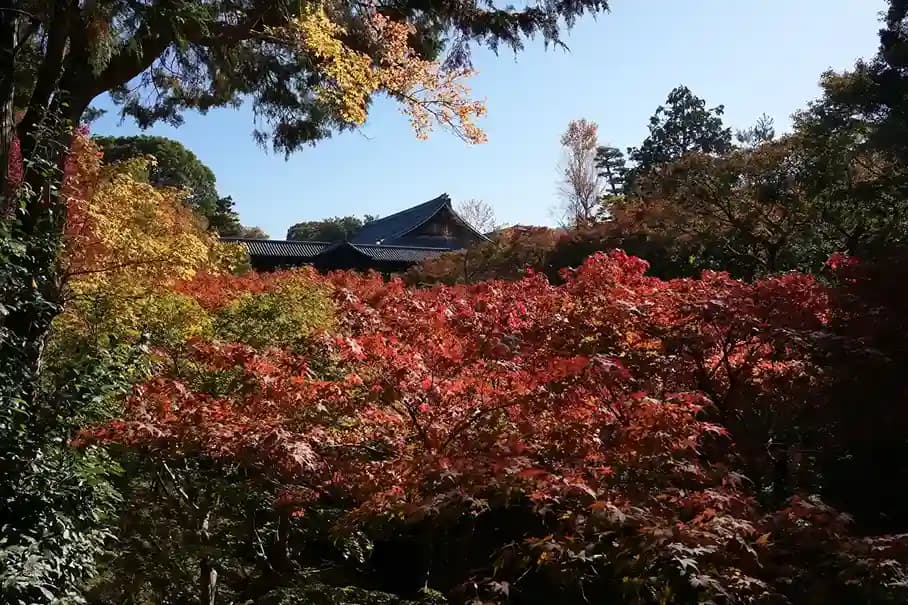 Side Image 2