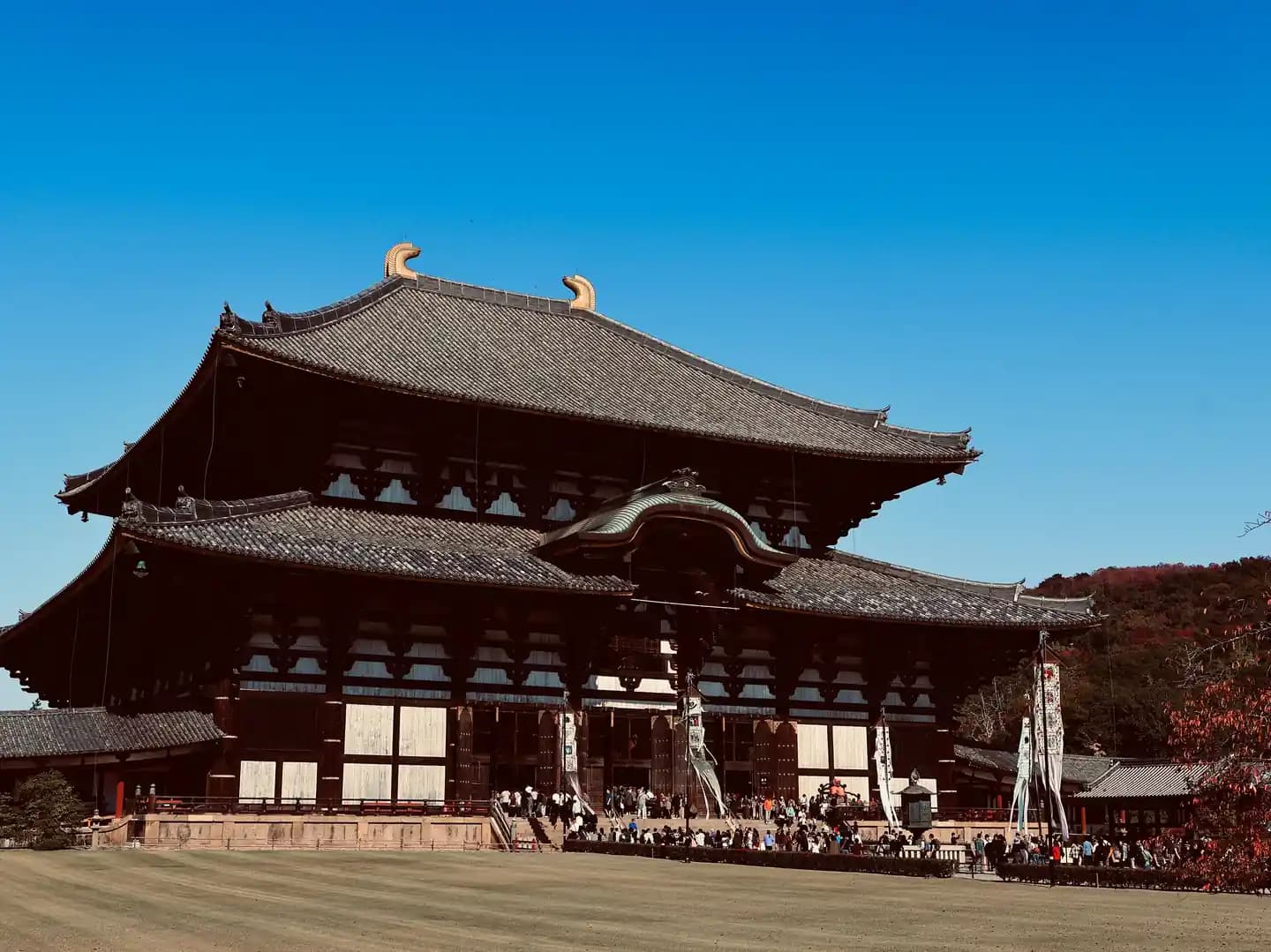 Step-by-Step Guide on Visiting Japan Top Tourist Destinations with Your Visa