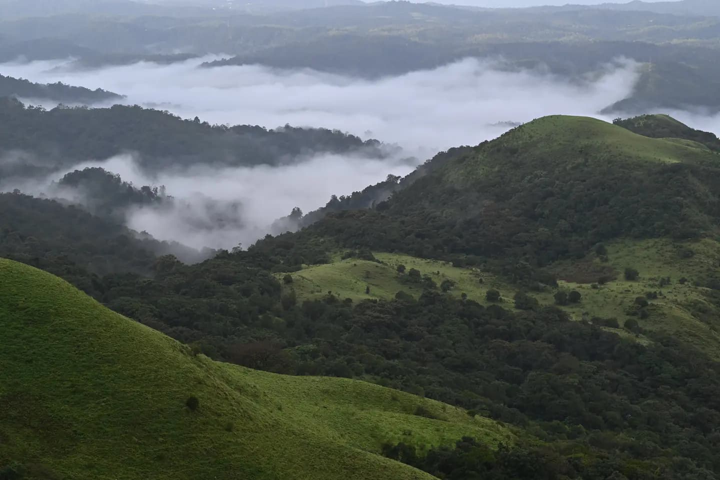 Top 10 Amazing Places to Visit in Coorg for Nature Lovers