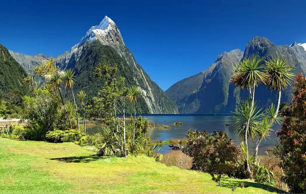 Top 10 Famous New Zealand Tourist Attractions That One Should Visit
