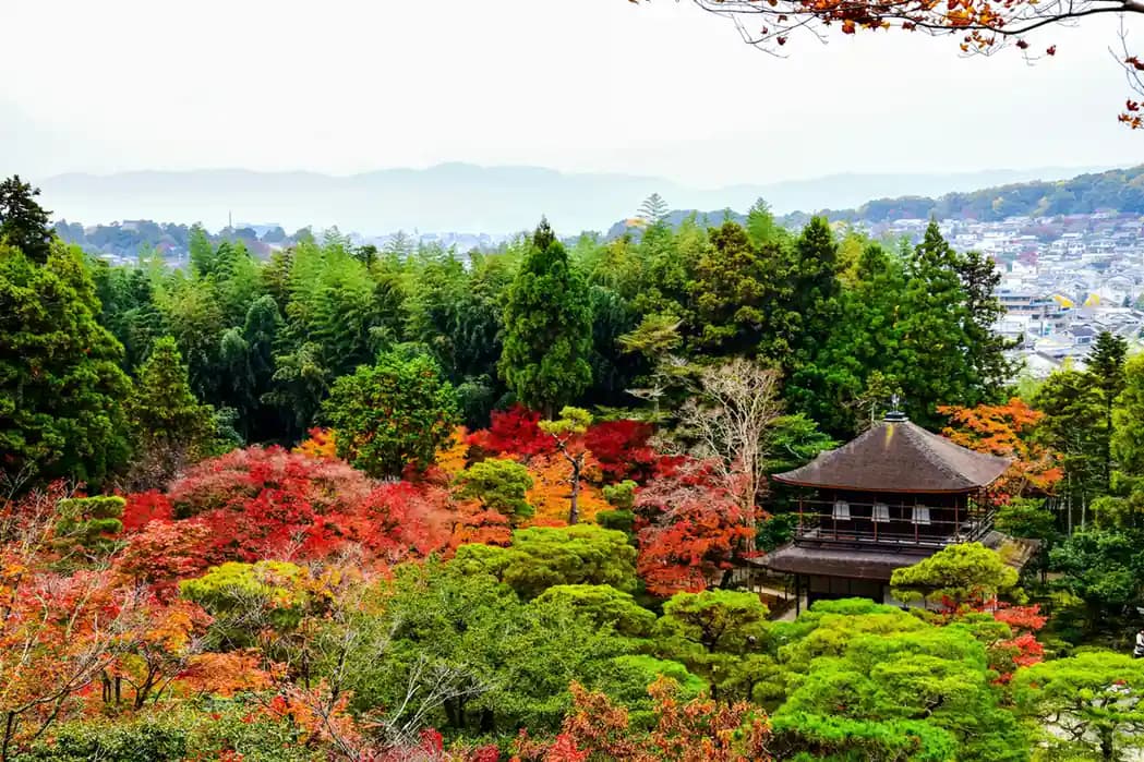 Best Places to Visit in Japan in October 2026