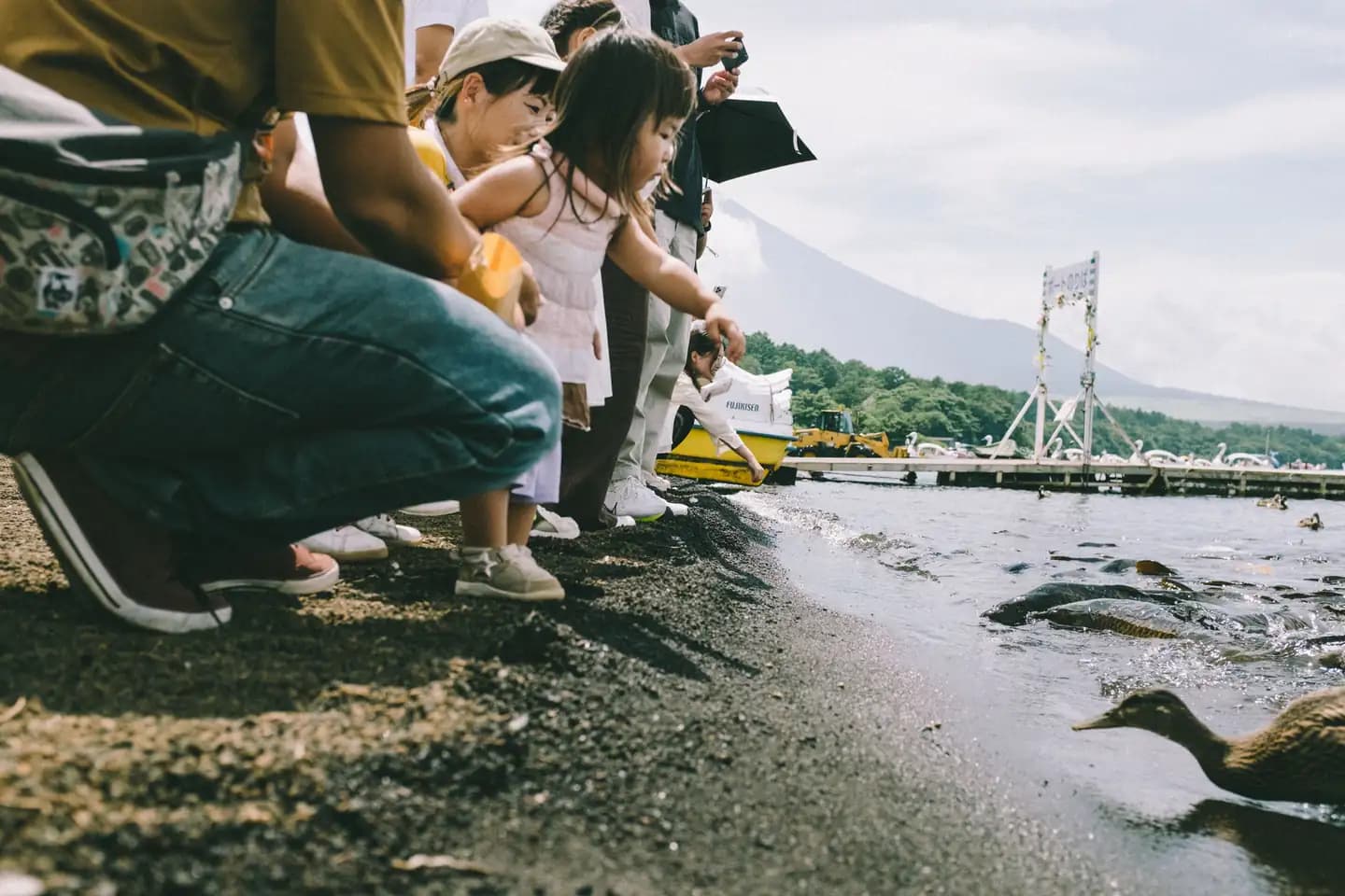 Family-Friendly Activities to Do in Japan