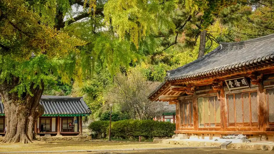 Top Things to Do in South Korea in October – Autumn Festivals & Views