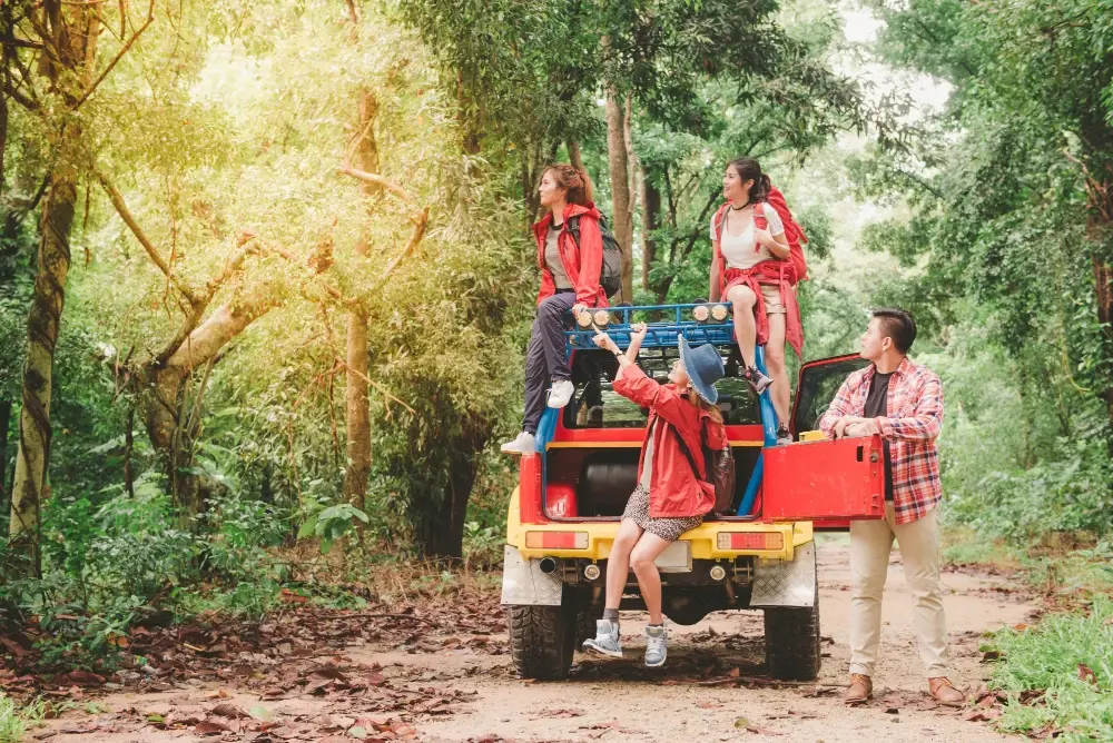 Visit Vinpearl Safari