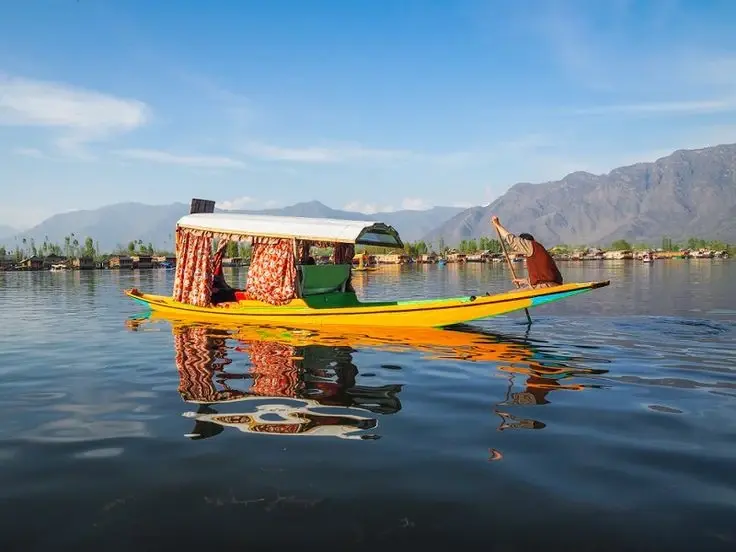 shikara ride on Dal Lake in Srinagar, Kashmir.