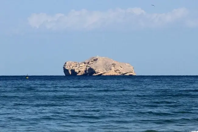 Al Fahal Island, also known as Jazirat Al Fahl or Shark Island,