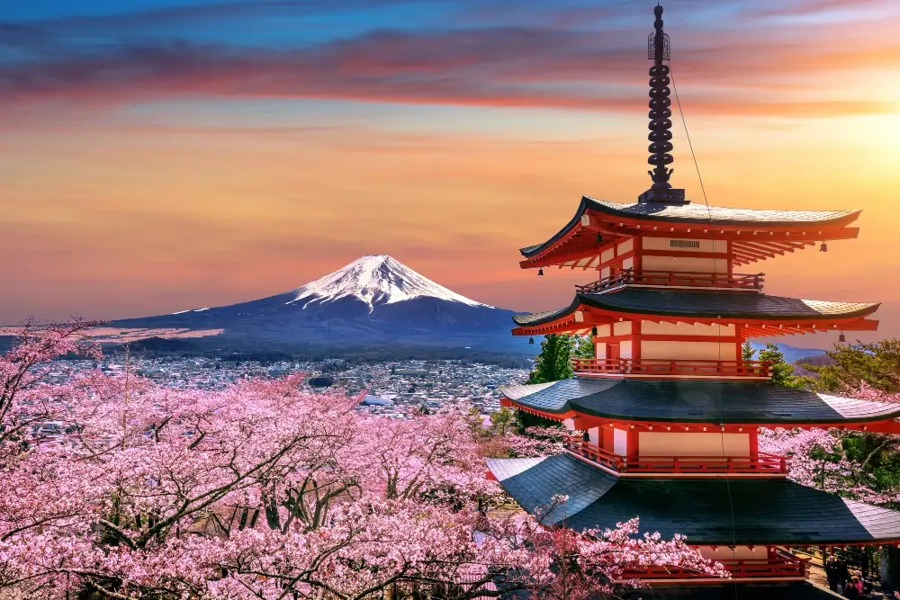 iconic view of Mount Fuji from the Chureito Pagoda during the cherry blossom season.
