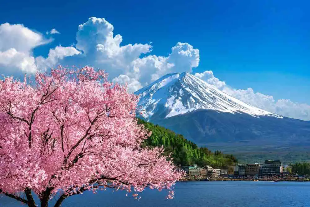 Japan Tour Package from India