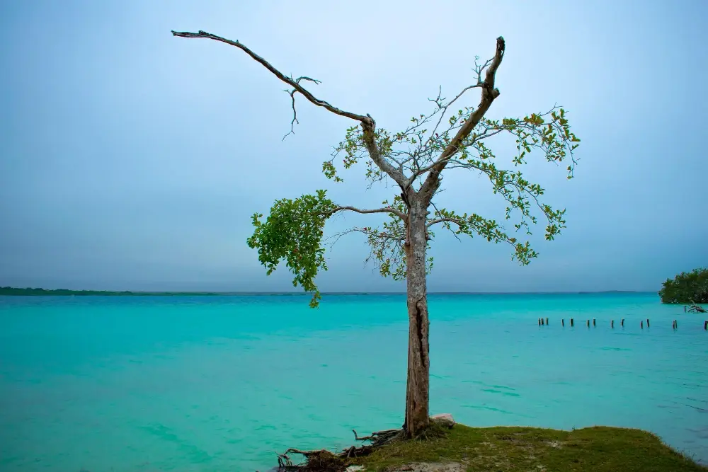 Andaman Tour Package