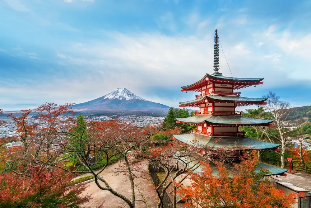 Japan Cherry Blossom Tour Package