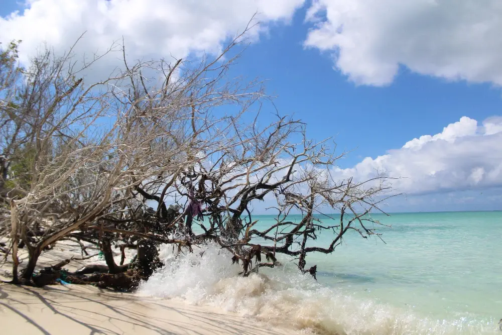 Kalapathar Beach