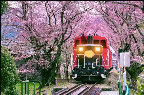 Kyoto, japan