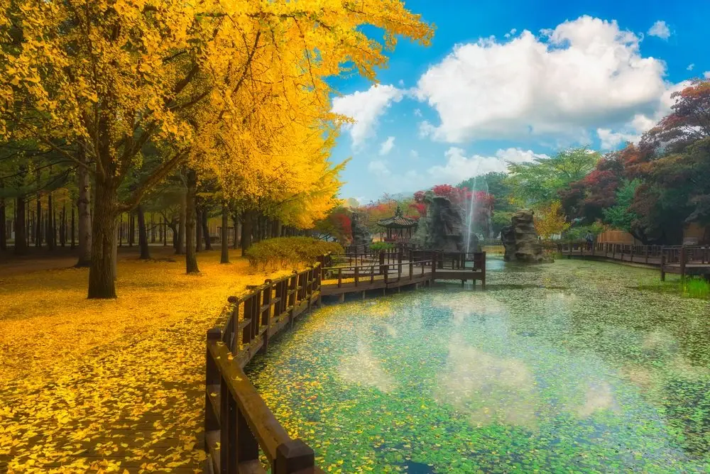Nami Island in South Korea.