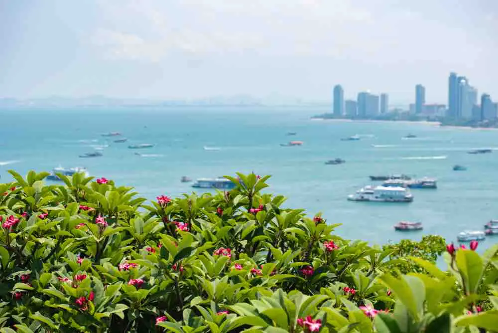 Pattaya View point