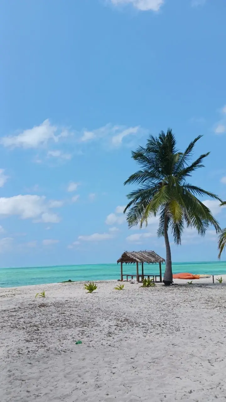 ropical beach