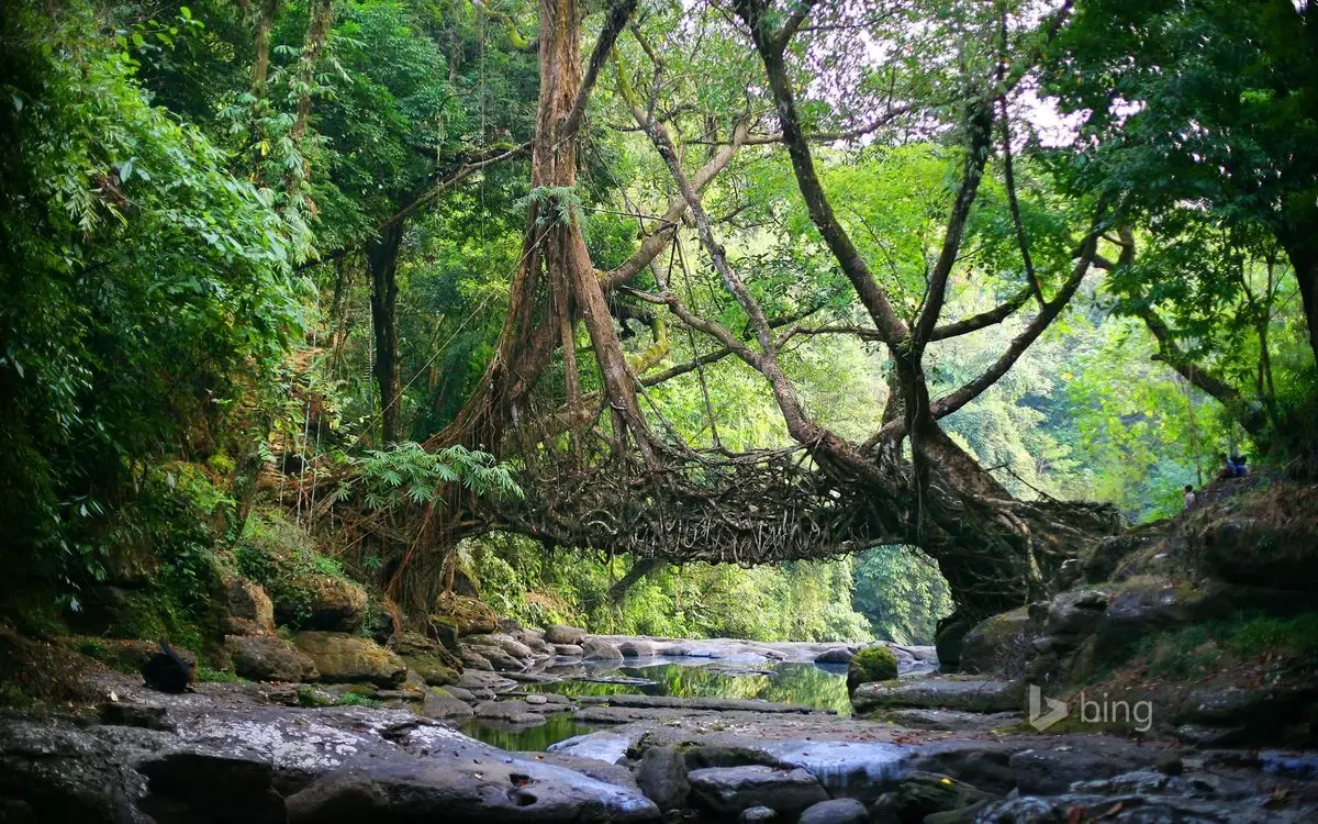 Meghalaya Tour Package
