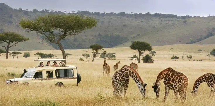 South Africa Tour Package