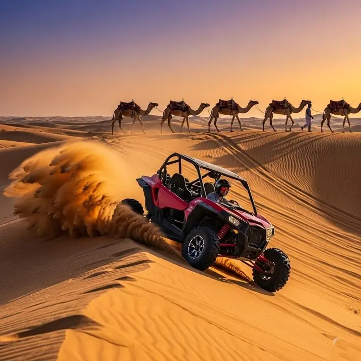  desert safari
