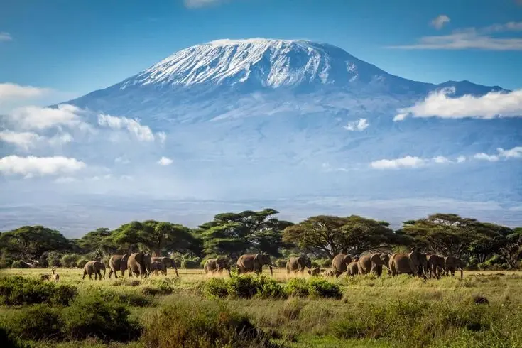 MOUNT KILIMANJARO (TANZANIA)