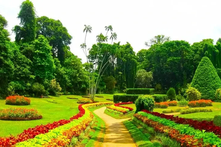 Royal Botanic Gardens, Peradeniya in Sri Lanka.
