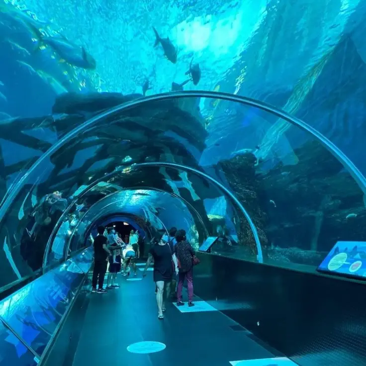 S.E.A. Aquarium in Singapore