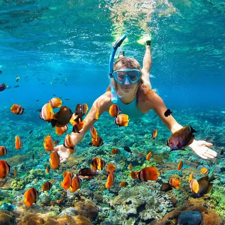  snorkeling and diving activities in maldives
