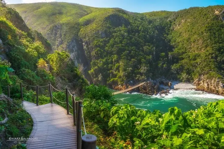 Tsitsikamma National Park, South Africa. 