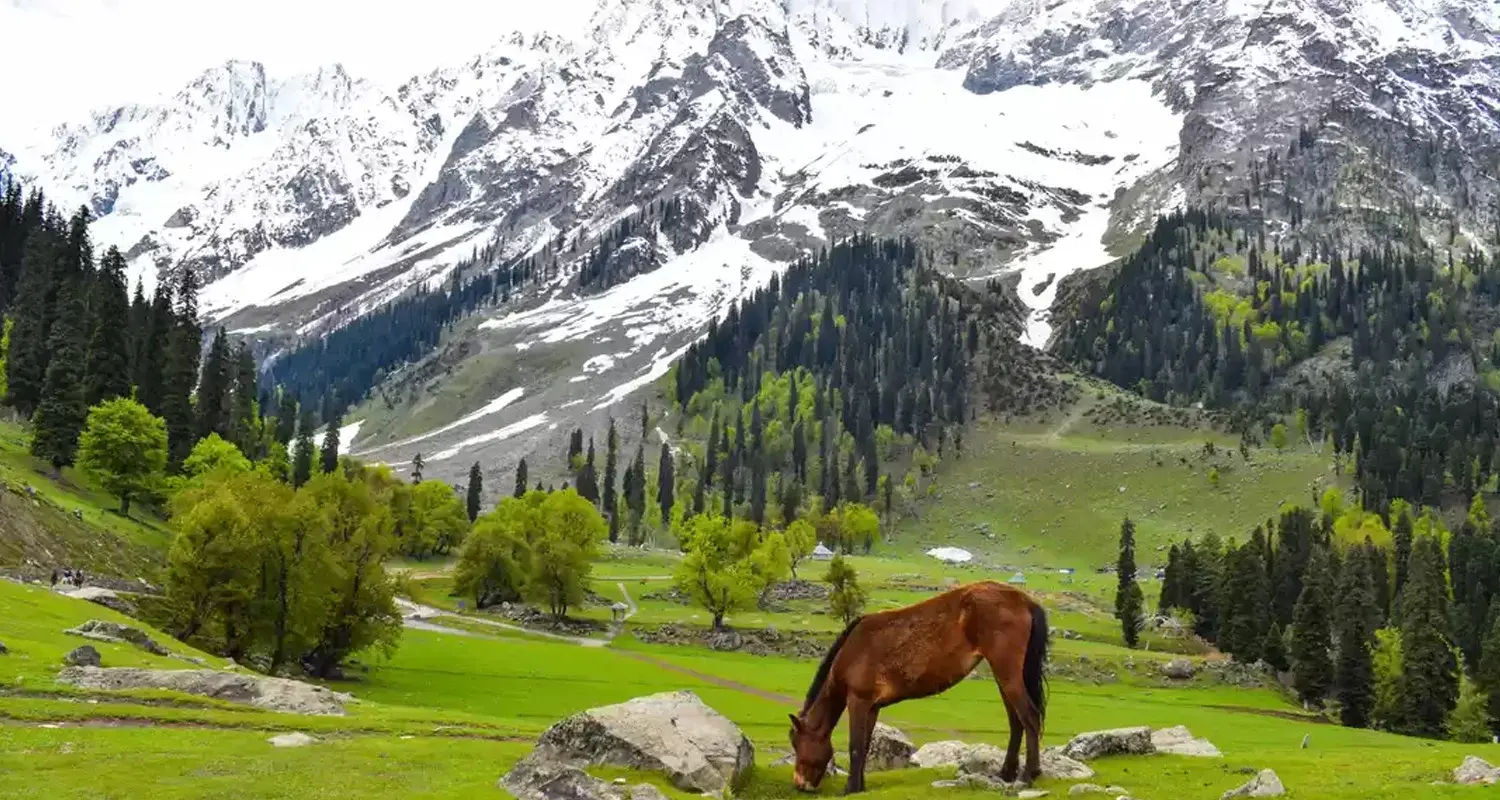 Kashmir Tour Packages
