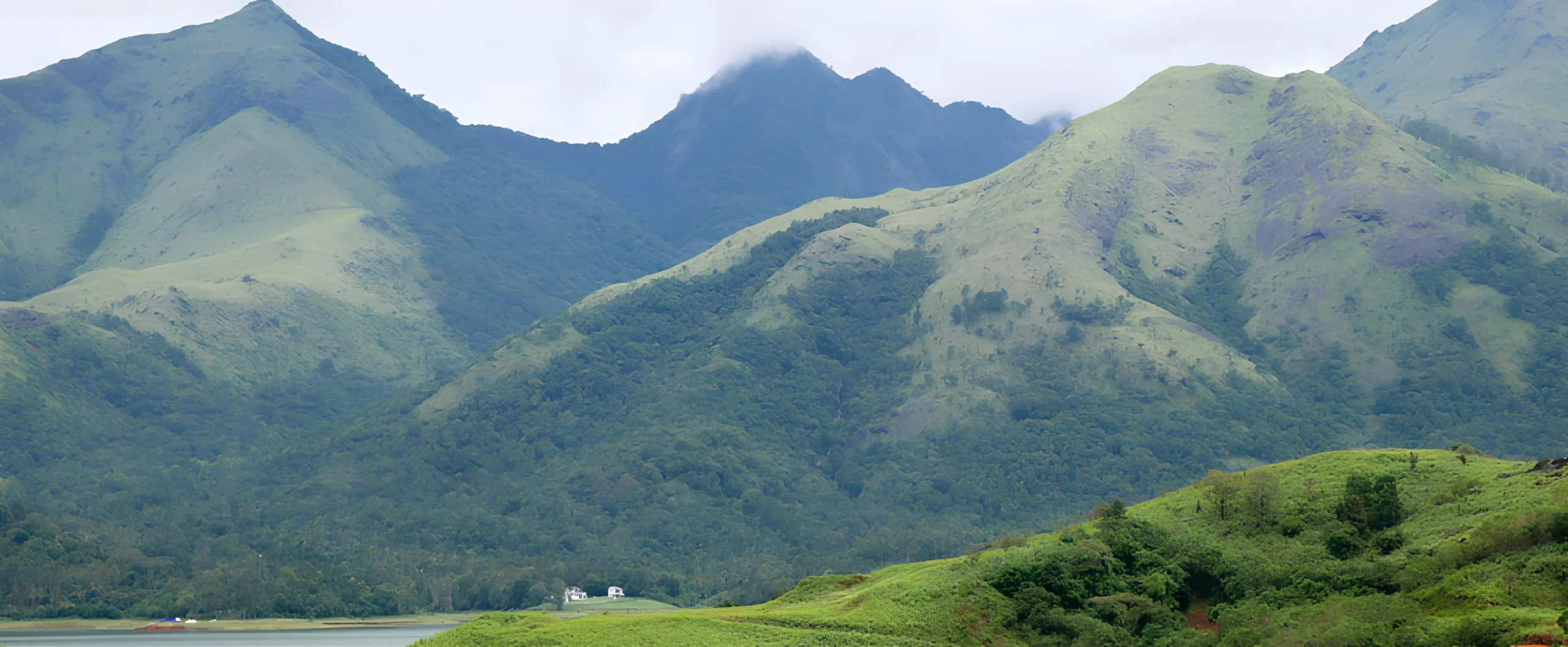 The eight best locations in Wayanad to visit for a restful vacation