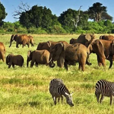 Visitors in Kenya