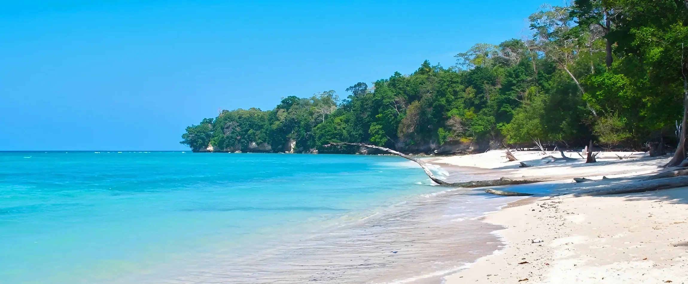 best time to visit Andaman