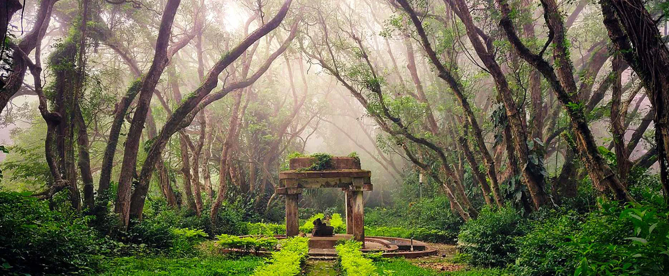 Nandi Hills Trek - Trekking Places in Karnataka 