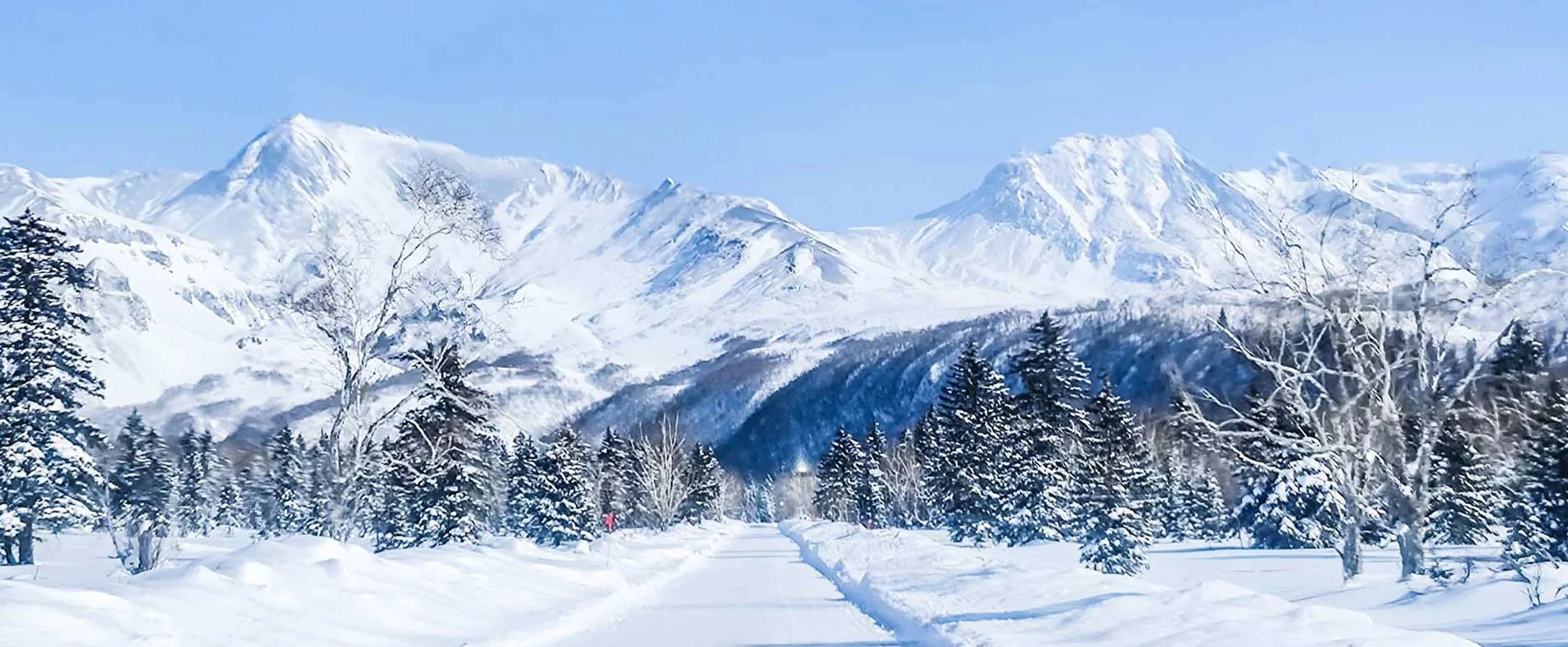 best time to visit guangzhou